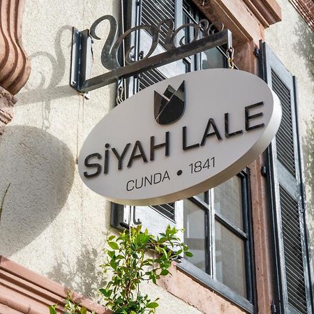 ホテル Siyah Lale Cunda 1841 (Adults Only) Ayvalı エクステリア 写真