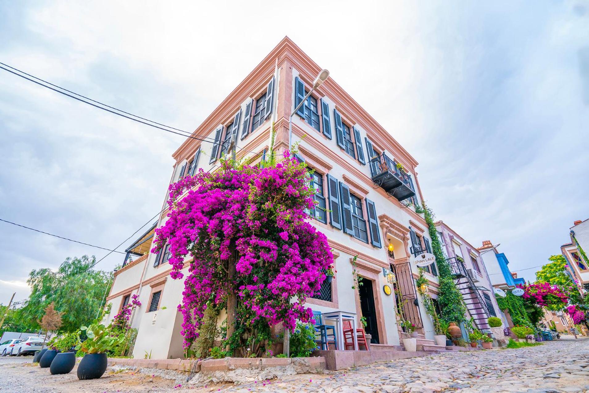 ホテル Siyah Lale Cunda 1841 (Adults Only) Ayvalı エクステリア 写真