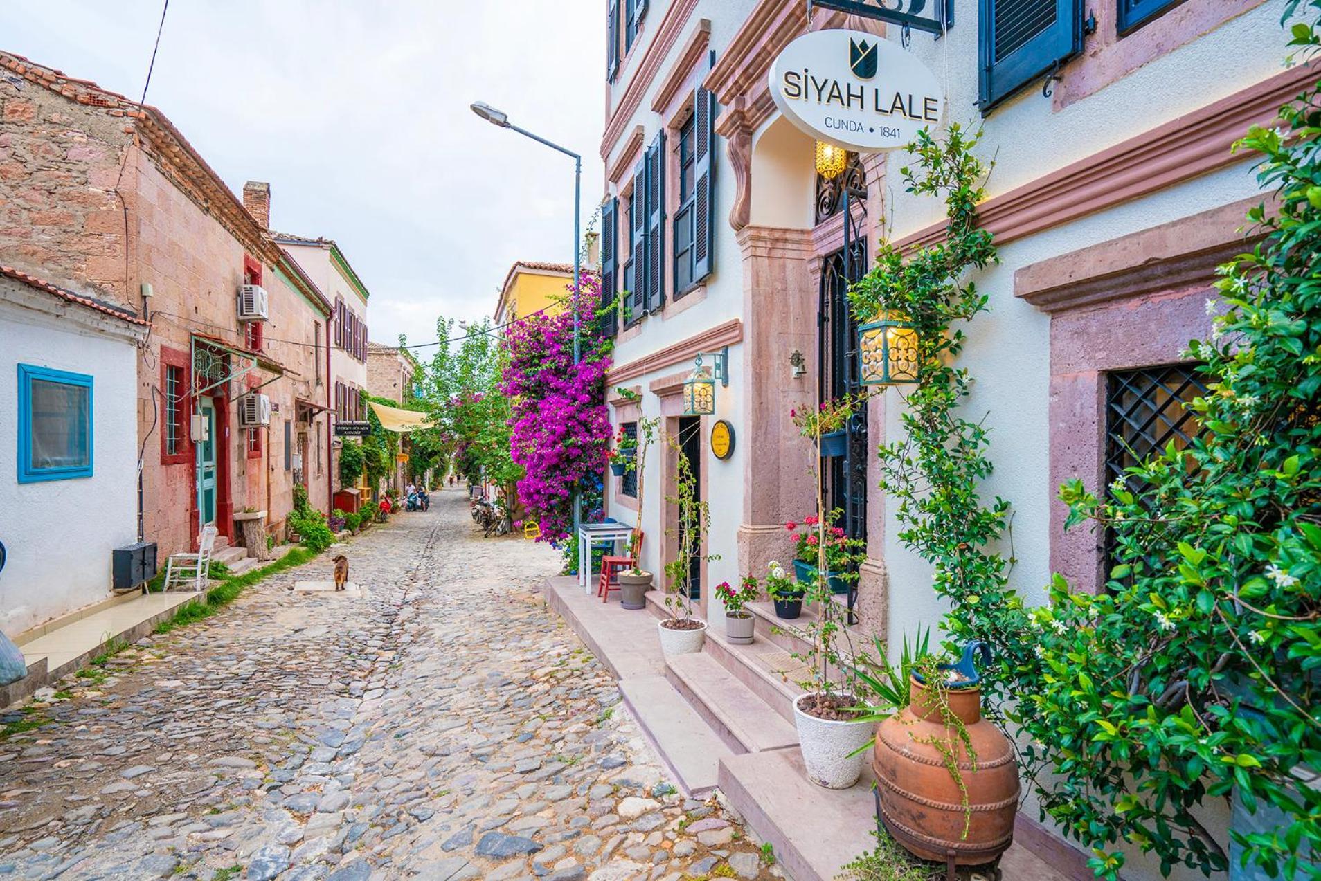 ホテル Siyah Lale Cunda 1841 (Adults Only) Ayvalı エクステリア 写真