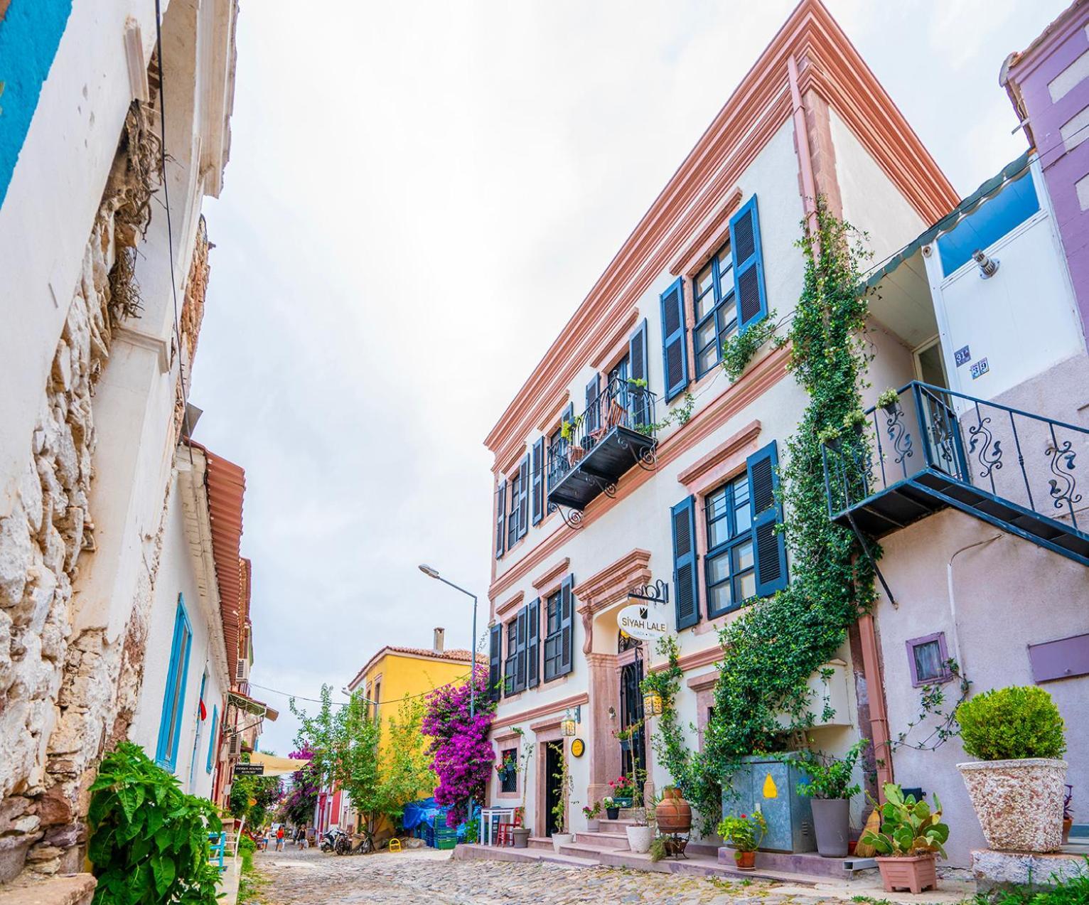 ホテル Siyah Lale Cunda 1841 (Adults Only) Ayvalı エクステリア 写真