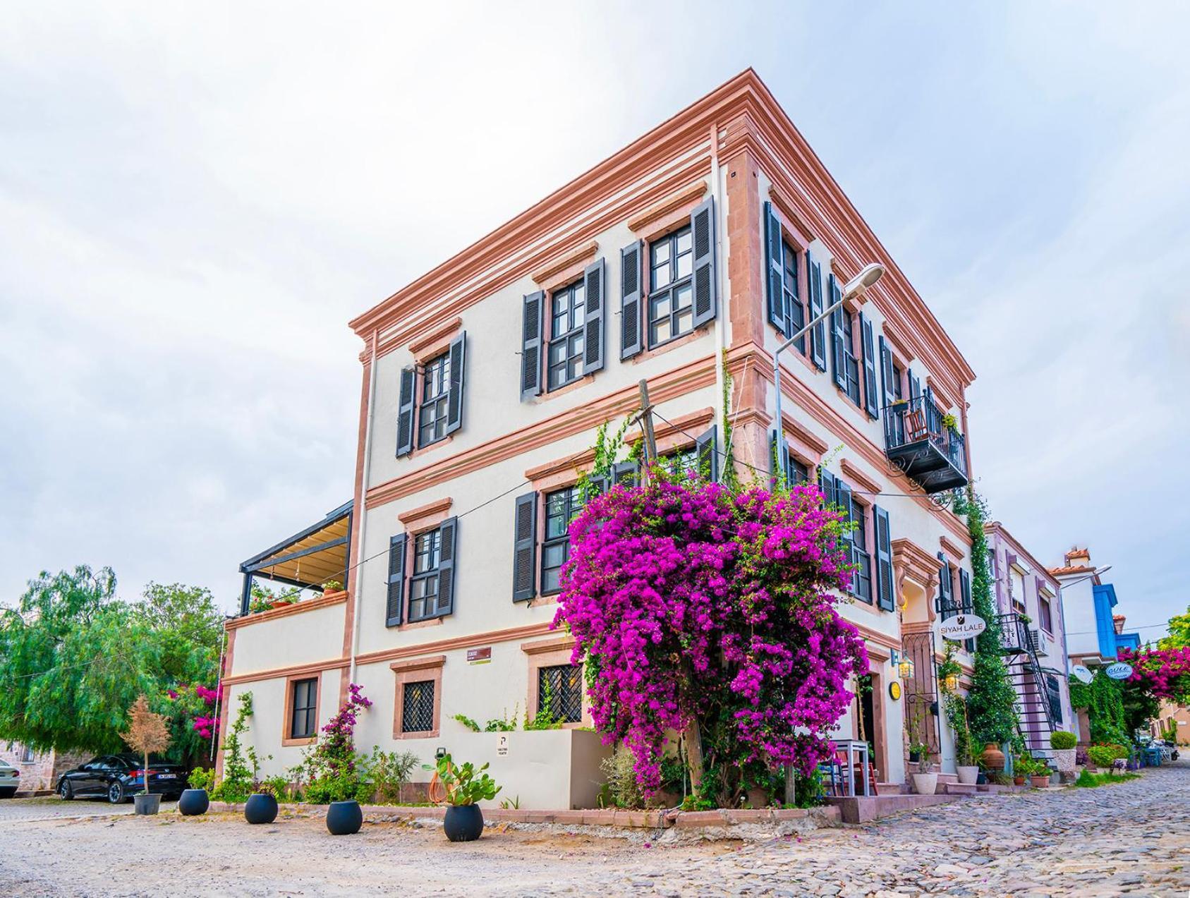 ホテル Siyah Lale Cunda 1841 (Adults Only) Ayvalı エクステリア 写真